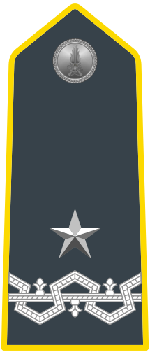 File:Rank insignia of generale di brigata of the Guardia di Finanza.svg