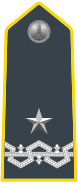 Brigade General (Brigadier General); provincial commanders have this rank.