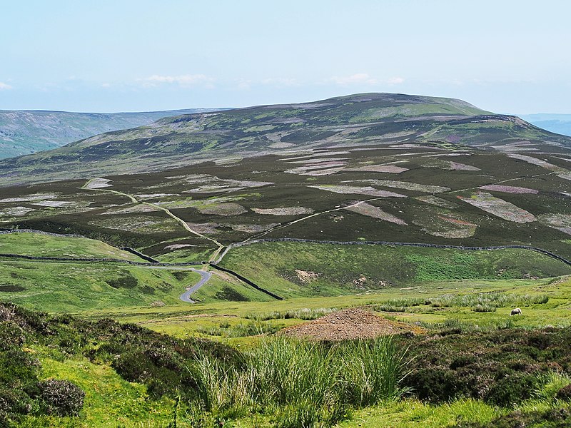 File:Reeth Low Moor.jpg