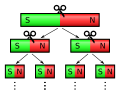 File:Aimant droit et limaille de fer et aiguilles.jpg - Wikimedia