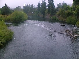 Rio Cautín.jpg