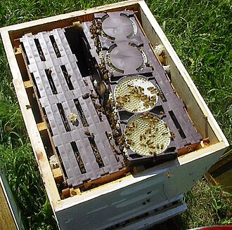 Beehive with Ross Round style comb honey super and frames exposed Ross round hive.jpg