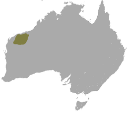 Ареал виду Petrogale rothschildi