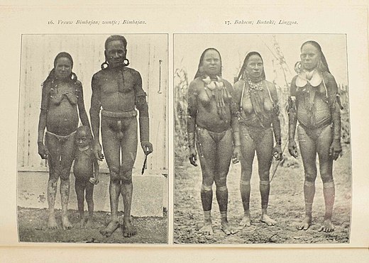 De Zuidwest Nieuw-Guinea-Expeditie, 1904-5: 16. Vrouw van Bimbajan; zoontje; Bimbajan. 17. Bakoem, Boetake en Linggoa.