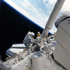 Hoffman and Griggs attach the flyswatter device to the end of the Canadarm.