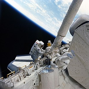 STS-51-D flyswatter on RMS.jpg