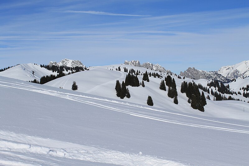 File:Saanenmöser - Plani - Rellerli - panoramio (42).jpg