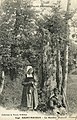 Un des menhirs de Saint-Mayeux (carte postale, vers 1910).