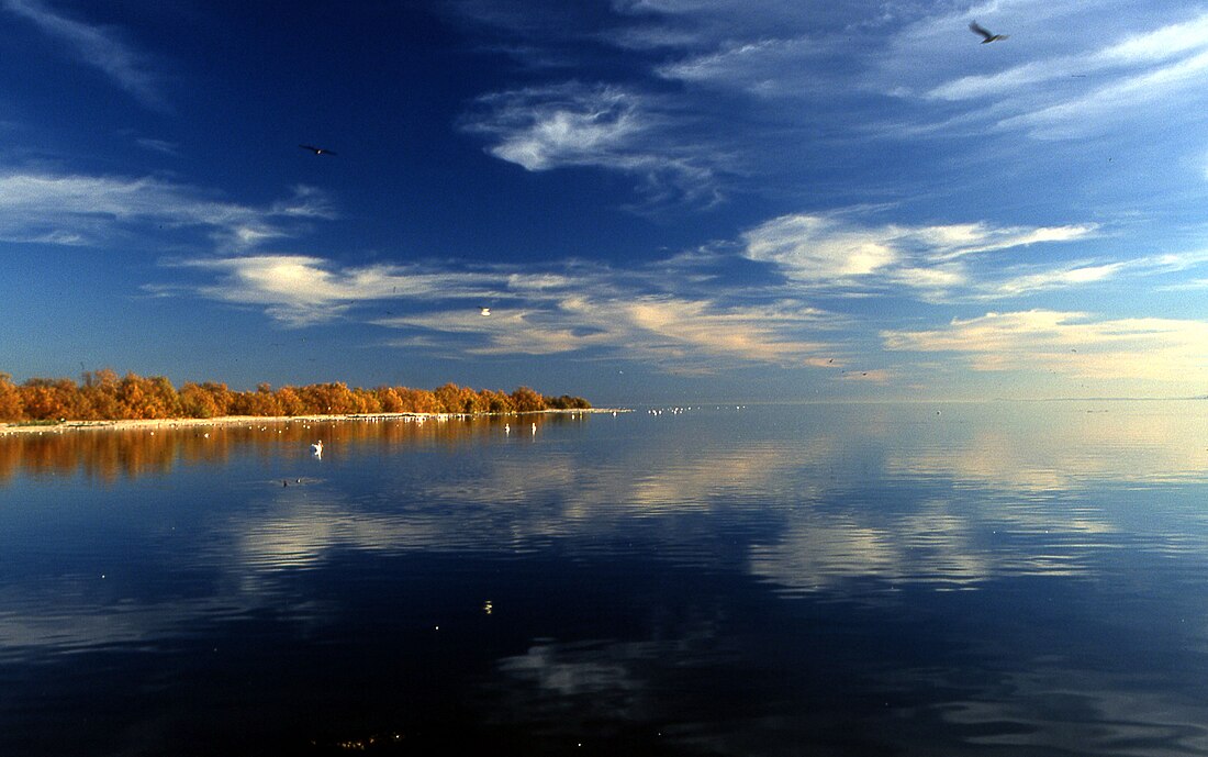 Biển Salton