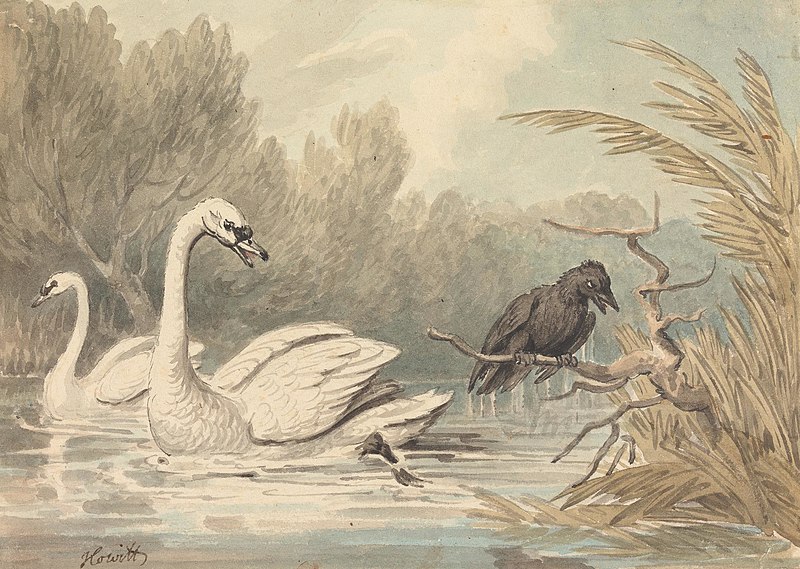 File:Samuel Howitt - A Raven and Two Swans - B2001.2.916 - Yale Center for British Art.jpg