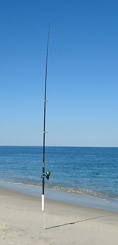 For stress modeling, a fishing pole may be considered one-dimensional.