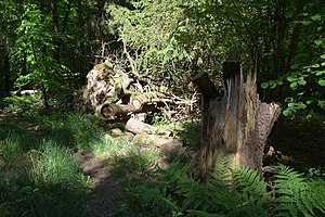 Schleswig-Holstein, Schwabstedt, Naturerlebnisraum NIK 6743.jpg