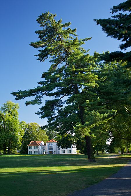 Schloß Schönfeld Kassel Wehlheiden