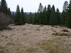 Schluftwiesen in April 08.jpg 78889633 6 553 20190601074156