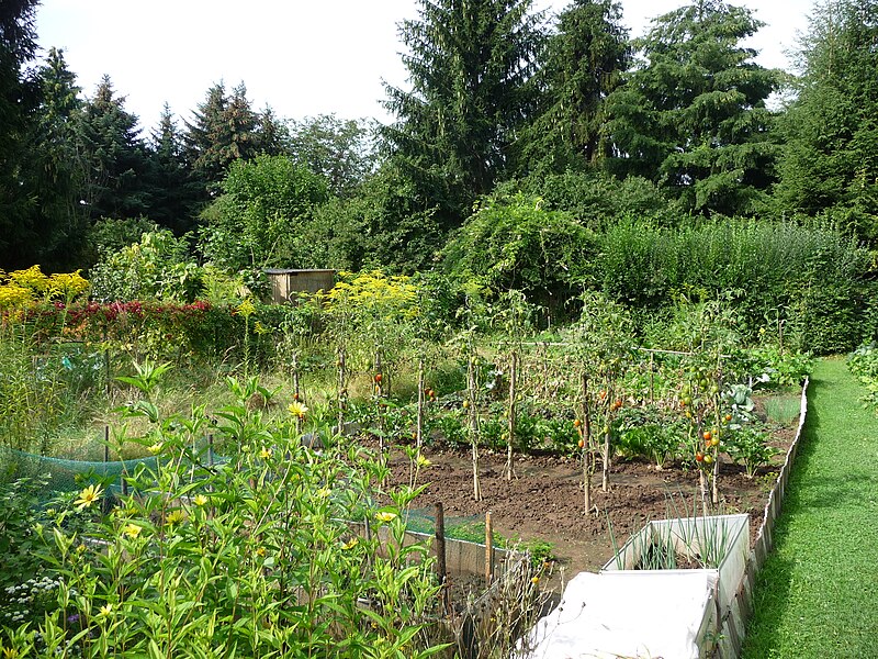 File:Schrebergarten in Frankfurt-Main - panoramio.jpg