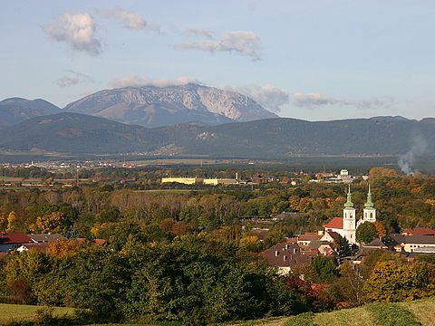 Schwarzau am Steinfeld