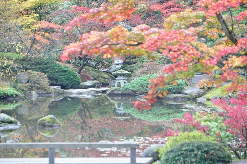 File:Seattle Japanese garden 2011 18.jpg