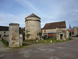 Dovecote dan aktif di Senailly