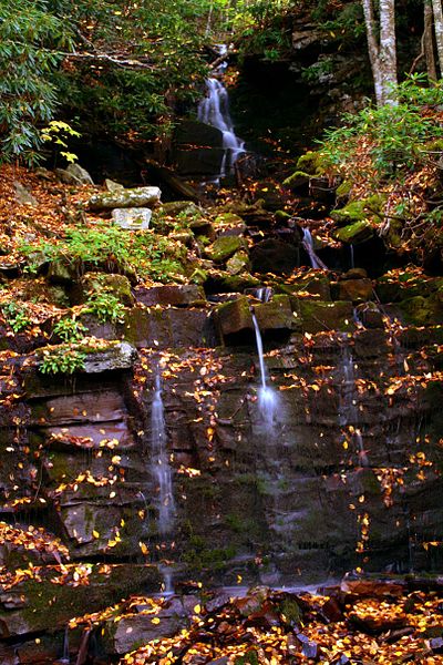 File:Seneca-creek-waterfall-21 - West Virginia - ForestWander.jpg