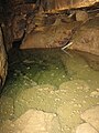 The submerged stairway leading down from the sixth to the seventh level at Seneca Caverns.