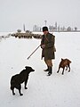 Čoban i njegovo stado blizu Jagodnjaka u Baranji (zima 2007)