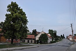 Silůvky – Veduta