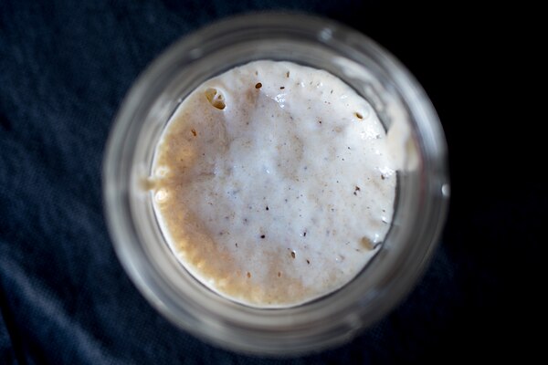 Sourdough starter.