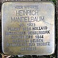 image=https://commons.wikimedia.org/wiki/File:Stolperstein_Kleve_An_der_M%C3%BCnze_7-9_Heinrich_Mandelbaum.jpg