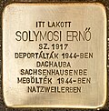 Stolperstein für Solymosi Ernó (Šturovo).jpg