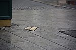 Thumbnail for Stolpersteine in Moravian-Silesian Region