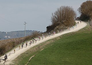 <span class="mw-page-title-main">2014 Strade Bianche</span> Cycling race