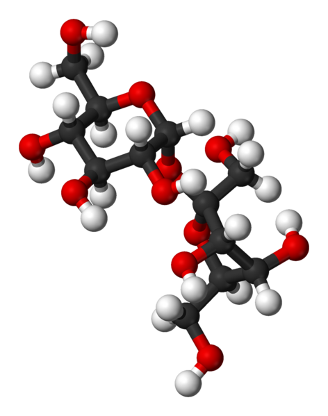 File:Sucrose-3D-balls.png