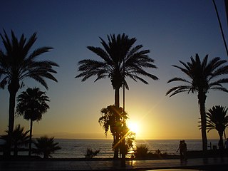 <span class="mw-page-title-main">Playa de las Américas</span> Holiday resort in Arona, Tenerife