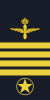 Schweden-AirForce-OR-9 (2019).svg