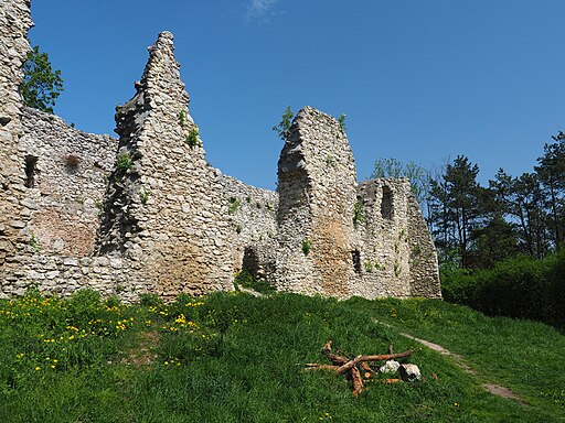Szlak Orlich Gniazd 0166 - ruiny Zamku Bydlin