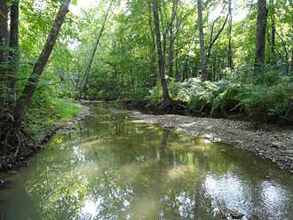 Tenmile Creek near Black Hill Regional Park Ten Mile Creek 2015a.jpg