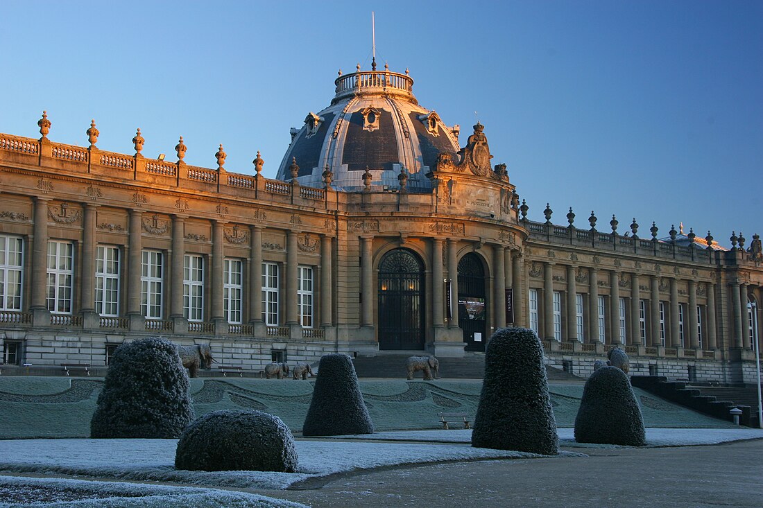 Królewskie Muzeum Afryki Środkowej