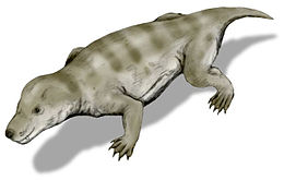 Thrinaxodon rekonstrukciója