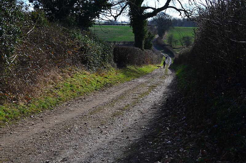 File:Tinker's Lane, Bentworth22.JPG