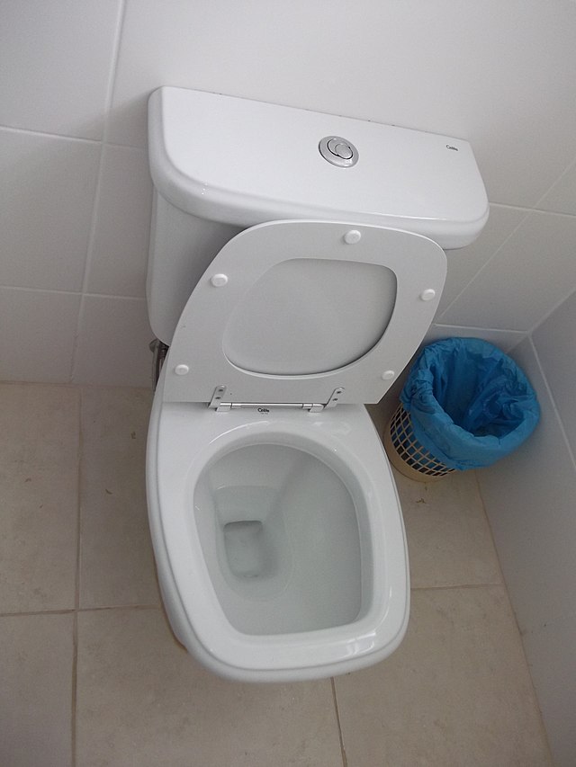 What is the Meaning Behind a Dual-Flush Toilet? - 1-Tom-Plumber