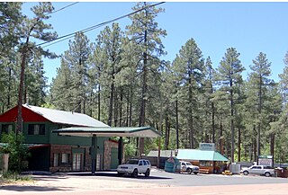 <span class="mw-page-title-main">Christopher Creek, Arizona</span> CDP in Gila County, Arizona