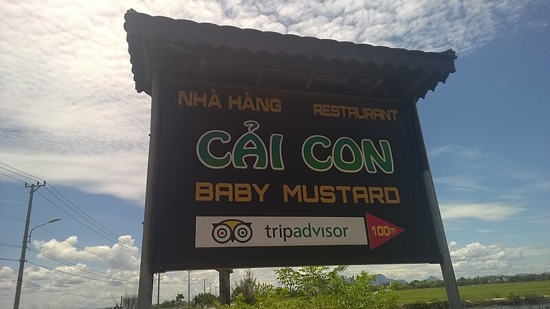 File:TripAdvisor signs in Hoi An in 2015 17.jpg