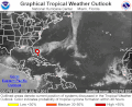 Tropical Storm Bret - Visual (5949032770).gif