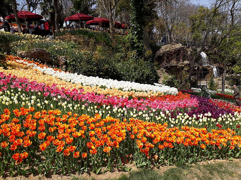 File:Tulip Festival Emirgan 2018.jpg