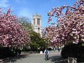 워싱턴 대학교 University of Washington