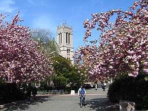 University Of Washington