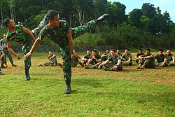 Indonesian Marines demonstrating to USMC Marines USMC-110527-M-EV637-040.jpg