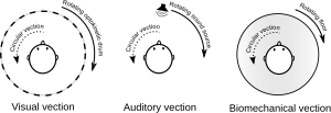 Diagram of possible illusions of self-motions (vections). Adapted from Vection diagram.svg