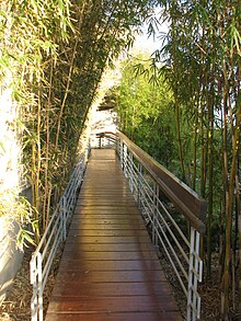 Bamboo-lined entrance bridge. View from Hotels in Haifa 014.JPG