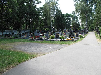 Jak do Vinořský Hřbitov hromadnou dopravou - O místě